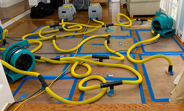 Professional Sewage Cleanup technician working in Leadville, CO
